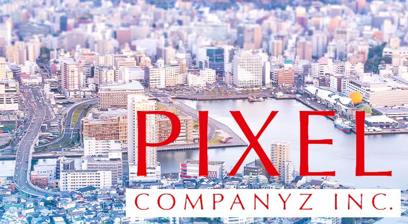 Pixel companyz dd